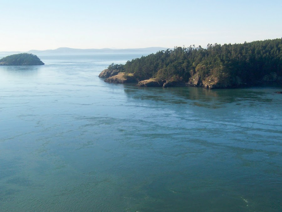 Jenny's Colorful Life Top 15 Things to Do In Seattle