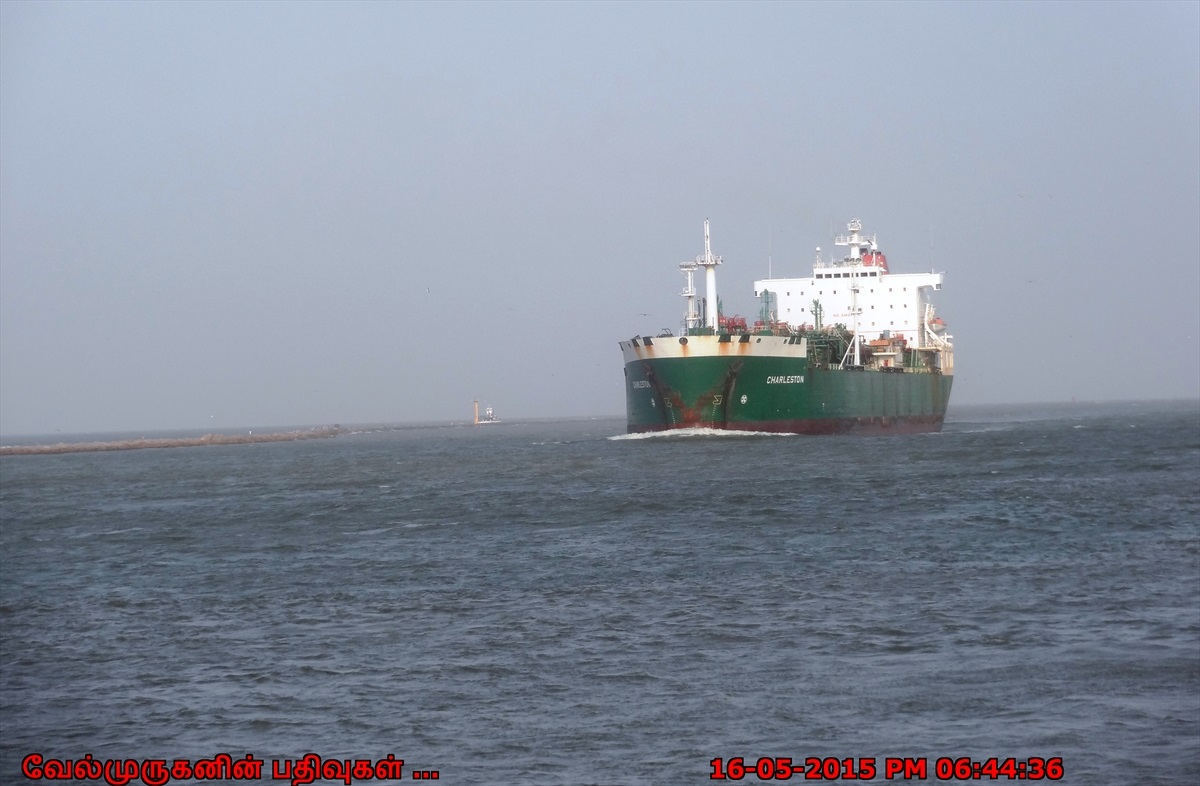 Dolphin Watch in Port Aransas Exploring My Life