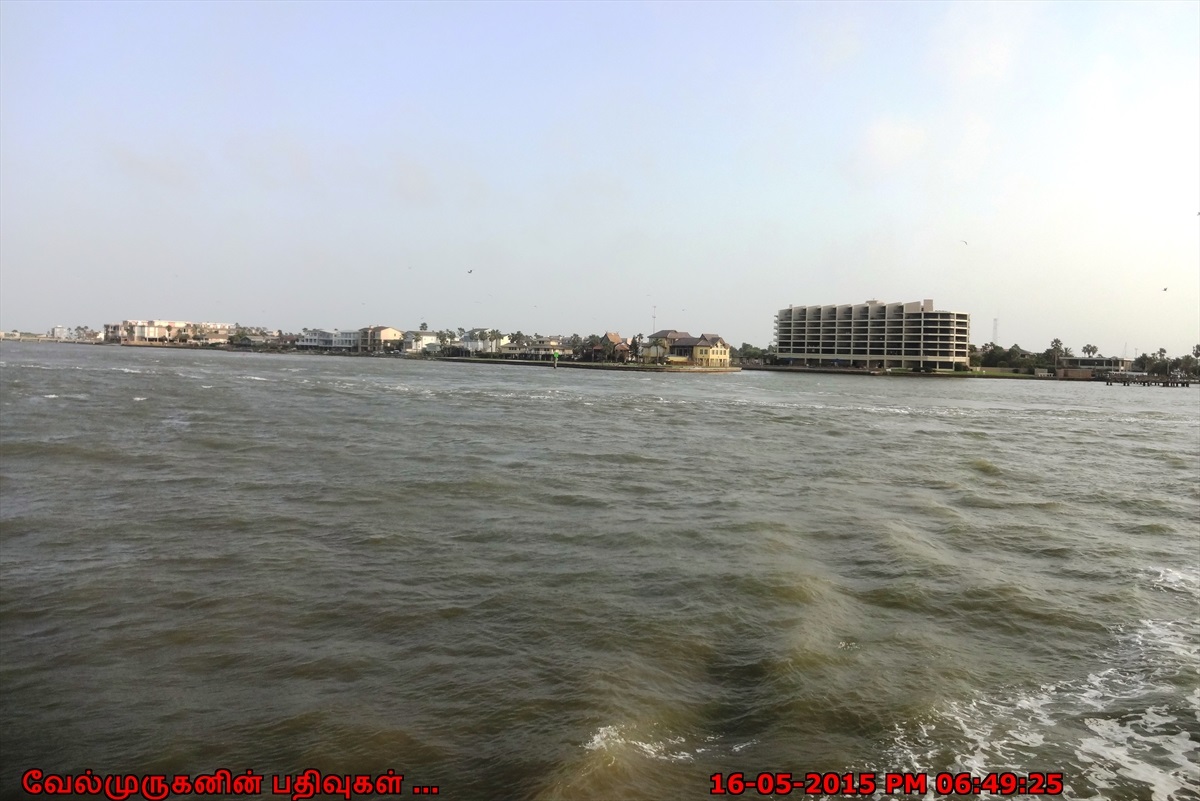 Dolphin Watch in Port Aransas Exploring My Life