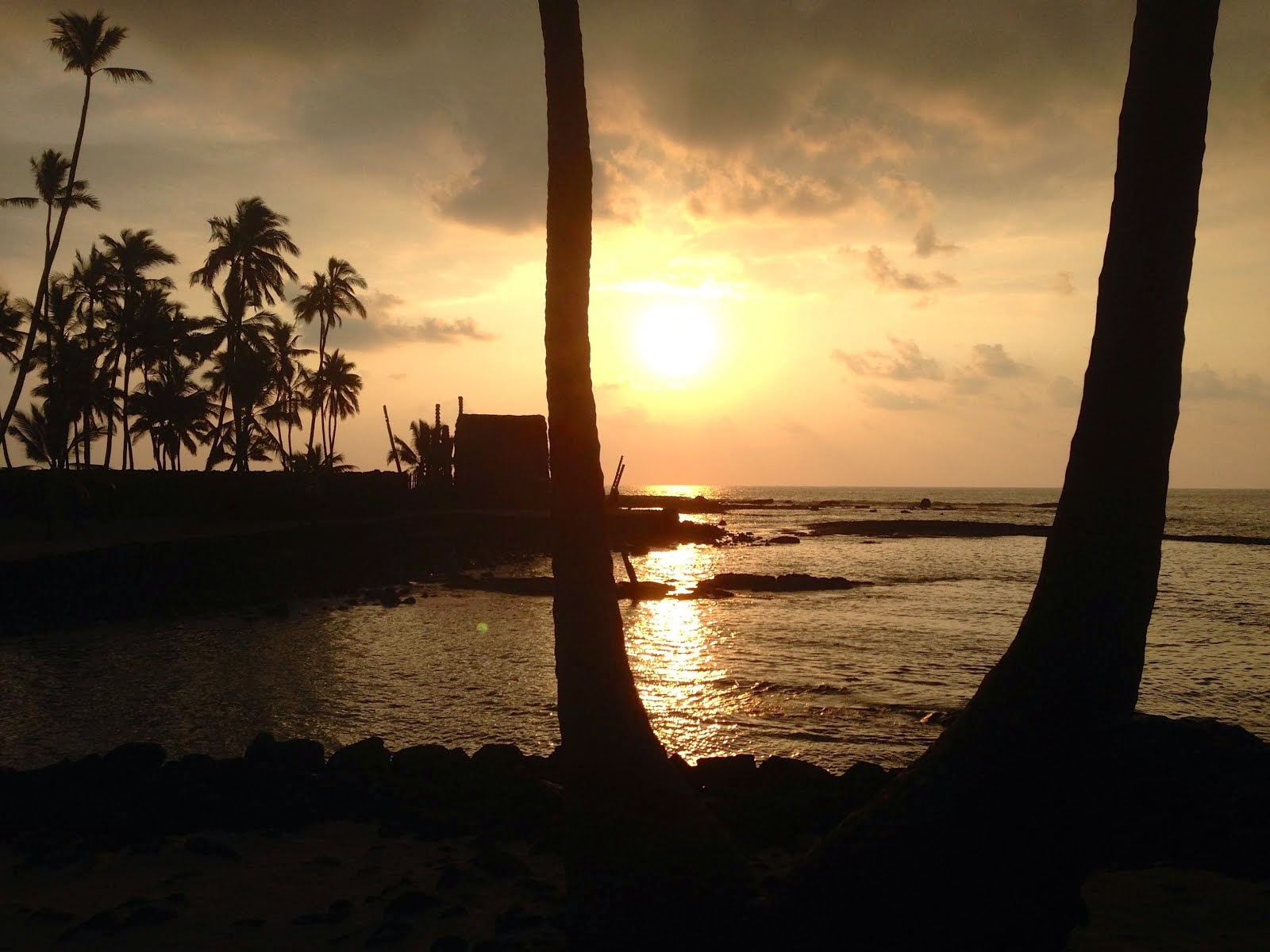 Makropoulos Famous People Born Today (September 27)