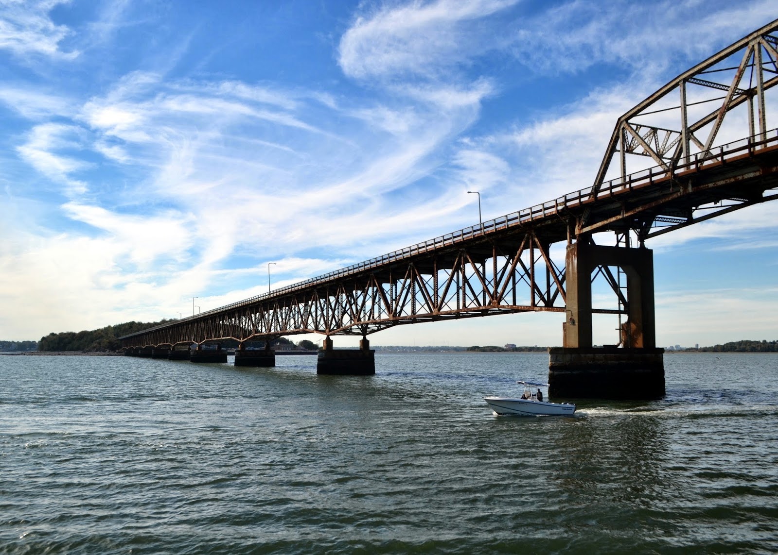 Crazy as a Cool Fox Long Bridge